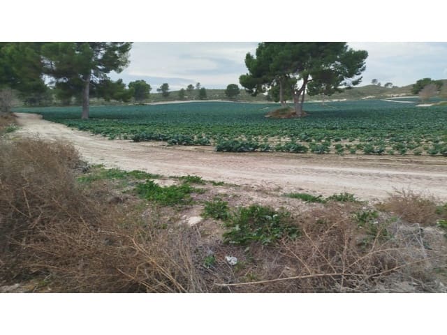 Finca/Landehus til salg i Albacete by - € 8.500.000 (Ref: 8757871)