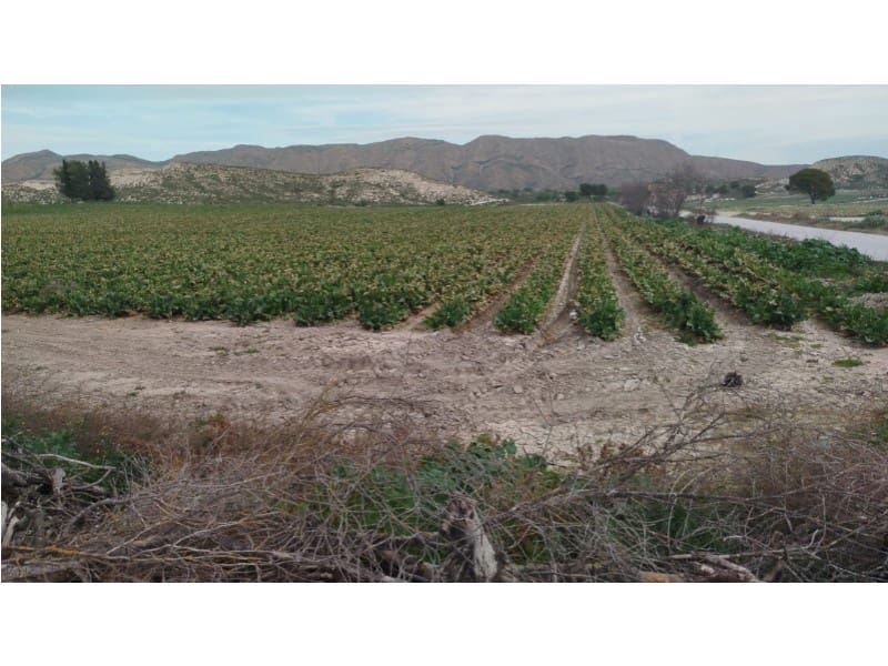 Finca/Landhuis te koop in Albacete stad - € 8.500.000 (Ref: 8757871)