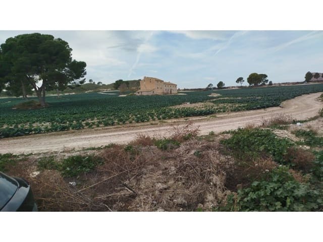 Finca/Landehus til salg i Albacete by - € 8.500.000 (Ref: 8757871)