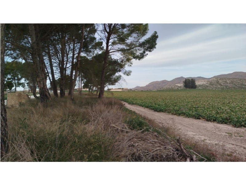 Finca/Landhuis te koop in Albacete stad - € 8.500.000 (Ref: 8757871)