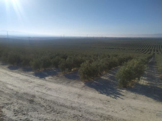 Finca/Maison de Campagne à vendre à Jaén ville - 38 000 000 € (Ref: 8757872)