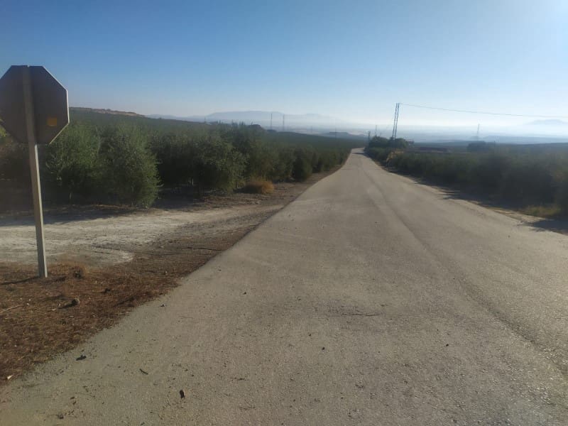 Finca/Landehus til salg i Jaen by - € 38.000.000 (Ref: 8757872)