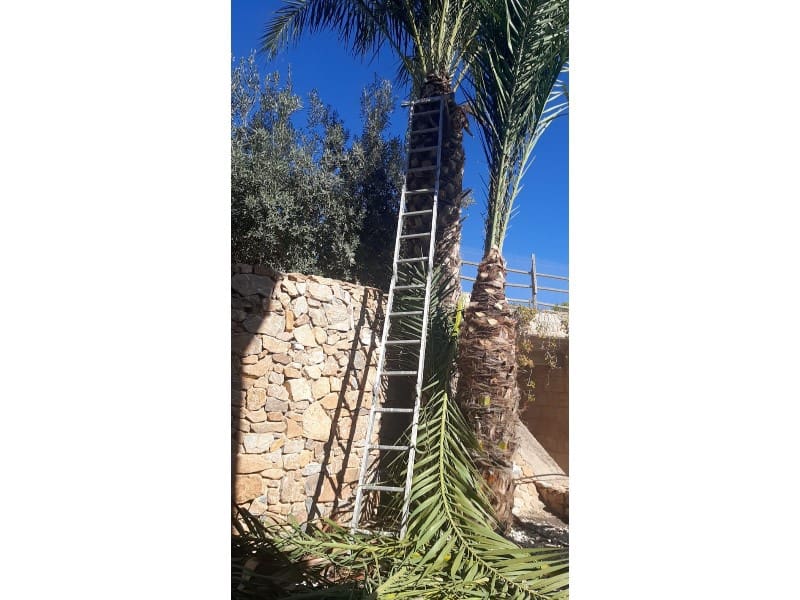 3 soveværelse Finca/Landehus til salg i Puente Tocinos - € 950.000 (Ref: 8770847)