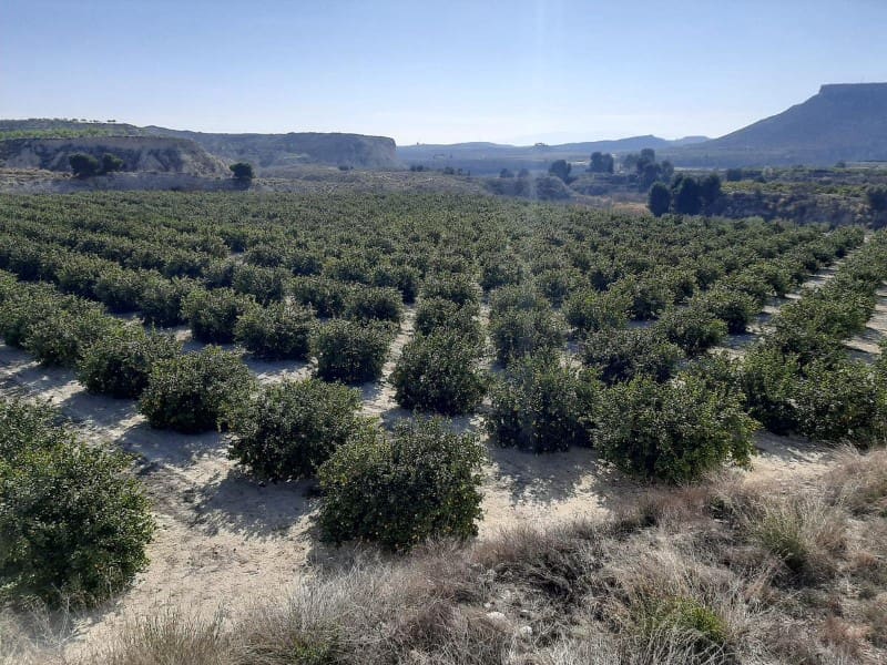 3 soveværelse Finca/Landehus til salg i Puente Tocinos - € 950.000 (Ref: 8770847)