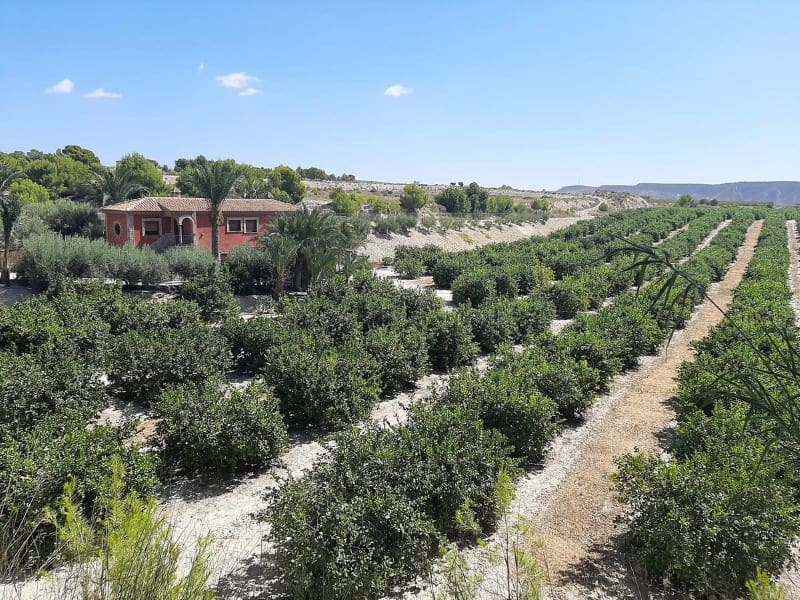 3 soveværelse Finca/Landehus til salg i Puente Tocinos - € 950.000 (Ref: 8770847)