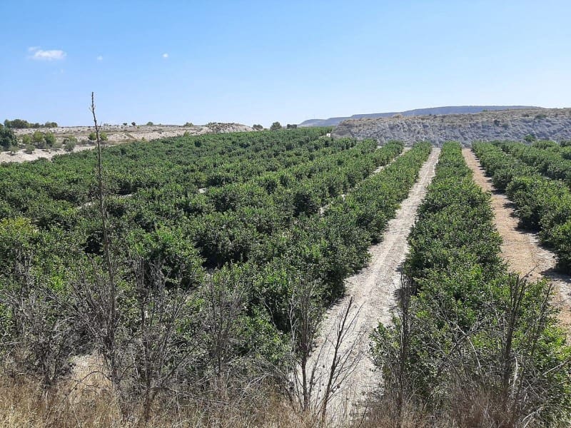 3 soveværelse Finca/Landehus til salg i Puente Tocinos - € 950.000 (Ref: 8770847)