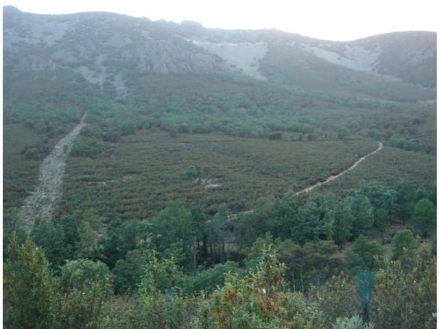 7 sovrum Finca/Hus på landet till salu i Guadalupe - 4 500 000 € (Ref: 8851880)