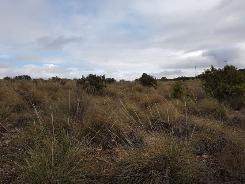 Finca/Landehus til salg i Ossa de Montiel - € 5.092.000 (Ref: 8851881)