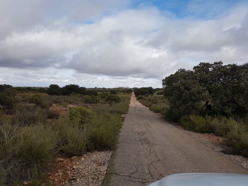 Finca/Landehus til salg i Ossa de Montiel - € 5.092.000 (Ref: 8851881)