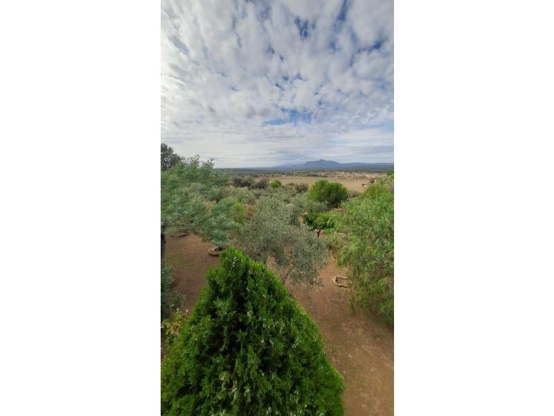 Finca/Landehus til salg i Ciudad Real by - € 7.000.000 (Ref: 8867117)