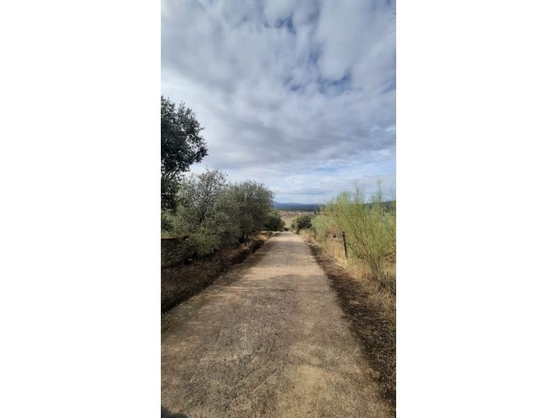 Finca/Landehus til salg i Ciudad Real by - € 7.000.000 (Ref: 8867117)