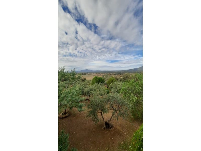 Finca/Landehus til salg i Ciudad Real by - € 7.000.000 (Ref: 8867117)