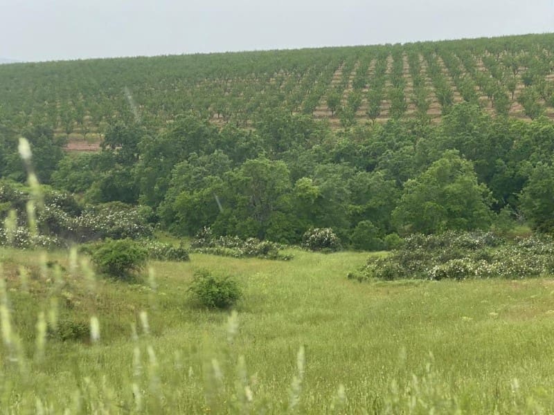 Finca/Country House for sale in Toledo city - € 10,000,000 (Ref: 8867118)