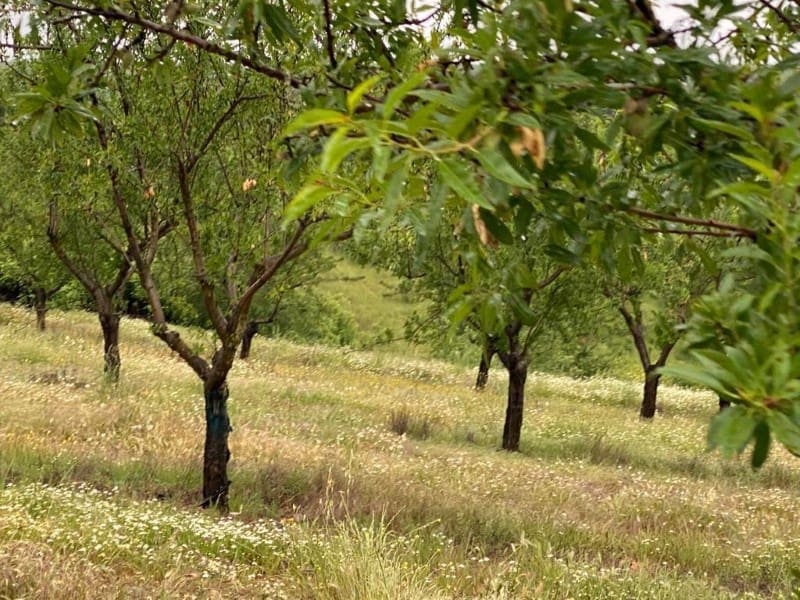 Finca/Country House for sale in Toledo city - € 10,000,000 (Ref: 8867118)