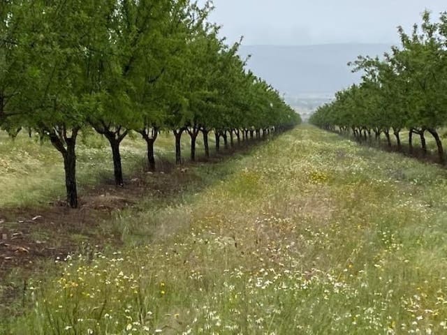 Finca/Country House for sale in Toledo city - € 10,000,000 (Ref: 8867118)