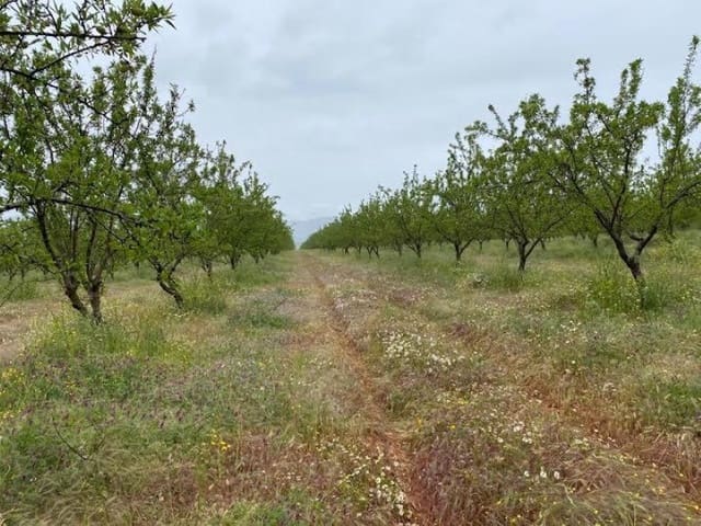 Finca/Country House for sale in Toledo city - € 10,000,000 (Ref: 8867118)
