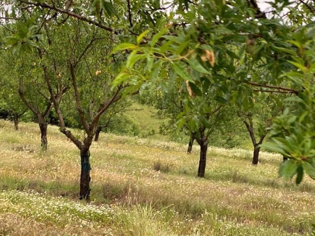 Finca/Country House for sale in Toledo city - € 10,000,000 (Ref: 8867118)