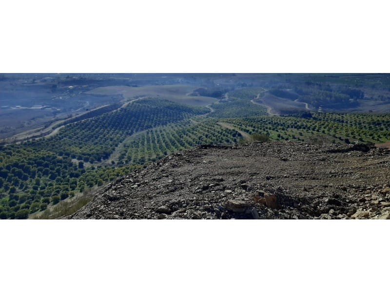 Finca/Landehus til salg i Malaga by - € 2.800.000 (Ref: 8888566)