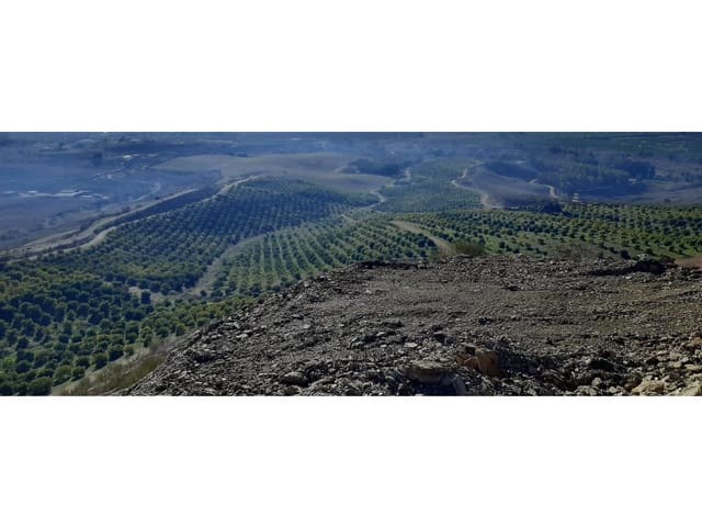 Finca/Landehus til salg i Málaga by - € 2.800.000 (Ref: 8888566)