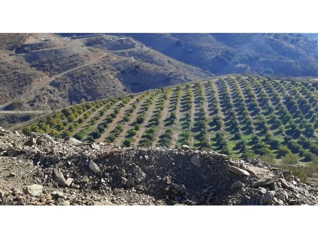 Finca/Landehus til salg i Málaga by - € 2.800.000 (Ref: 8888566)