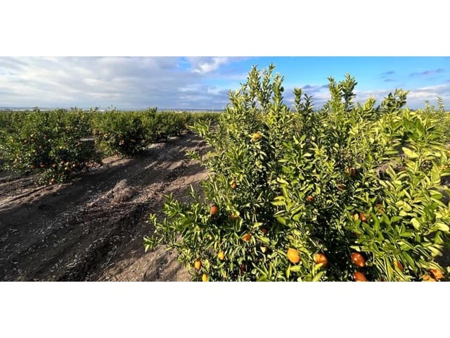 Finca/Landgut zu verkaufen in Huelva Stadt - 13.000.000 € (Ref: 8888567)