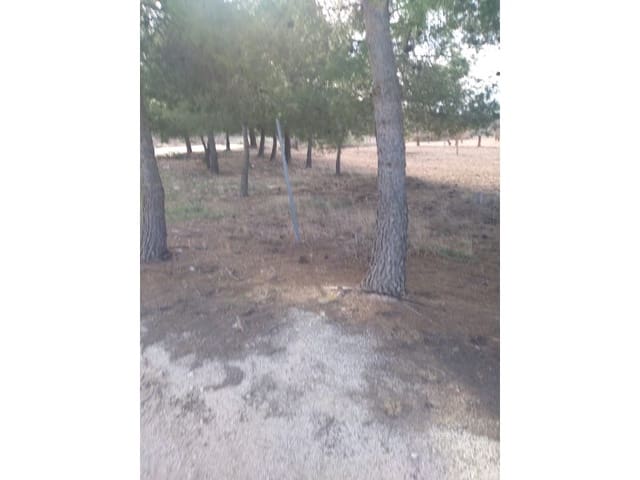 Finca/Landehus til salg i Novelda - € 625.000 (Ref: 8894617)