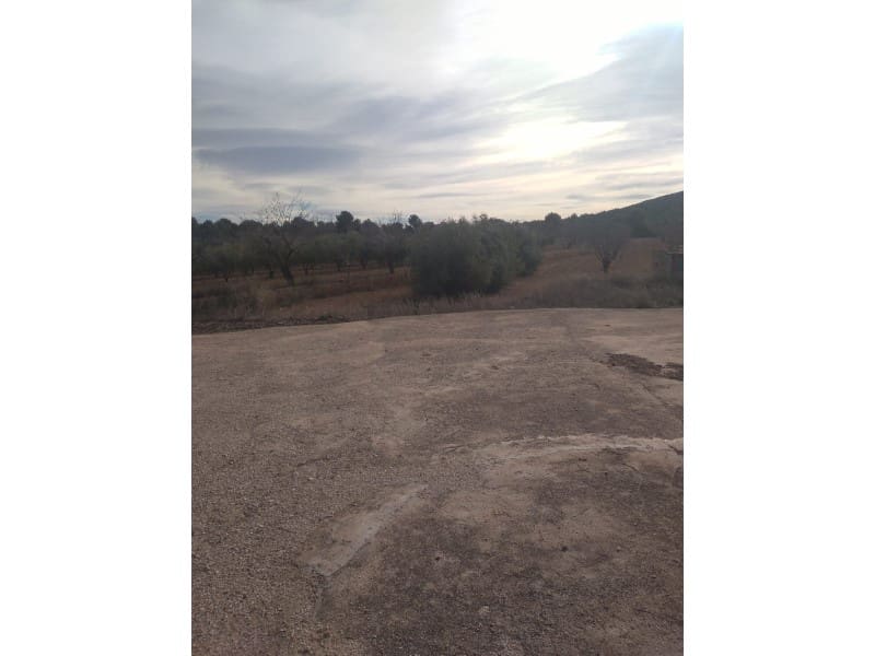 Maalaistalo myytävänä paikassa Novelda - 625 000 € (Ref: 8894617)