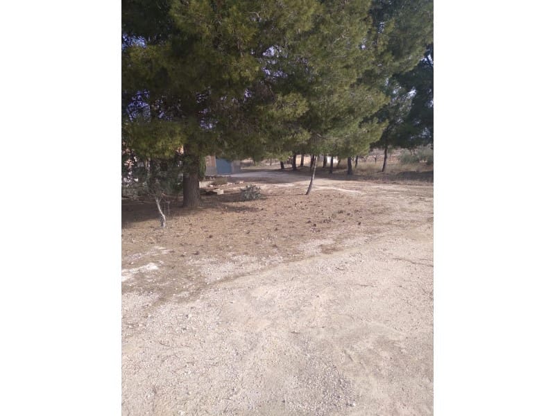 Maalaistalo myytävänä paikassa Novelda - 625 000 € (Ref: 8894617)