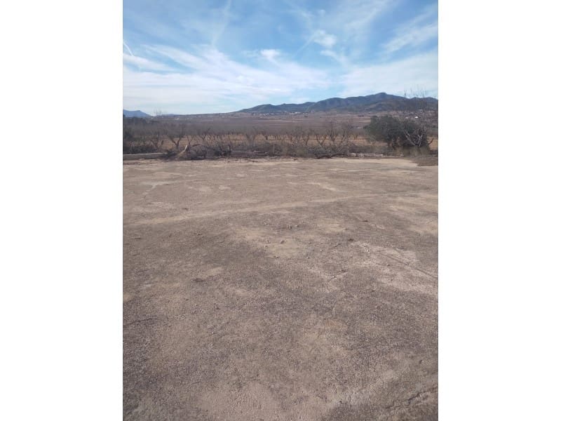 Maalaistalo myytävänä paikassa Novelda - 625 000 € (Ref: 8894617)