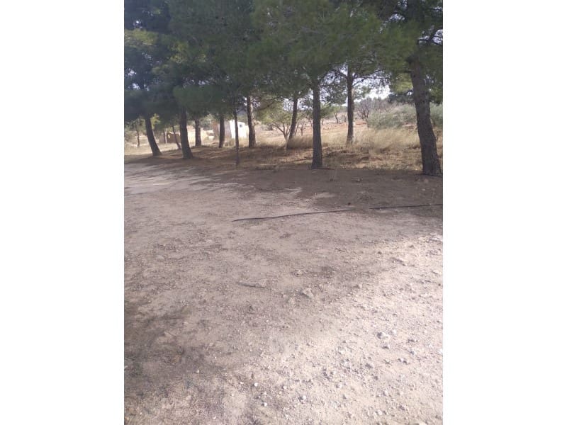 Maalaistalo myytävänä paikassa Novelda - 625 000 € (Ref: 8894617)