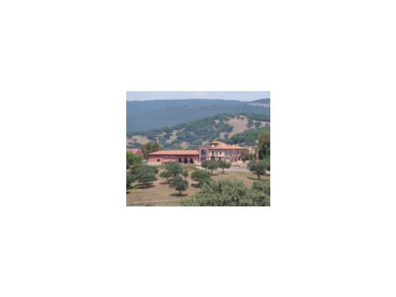 45 bedroom Finca/Country House for sale in Puebla de Don Rodrigo with pool garage - € 36,000,000 (Ref: 8897005)