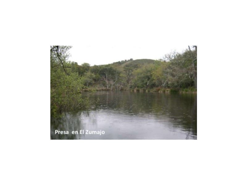 45 bedroom Finca/Country House for sale in Puebla de Don Rodrigo with pool garage - € 36,000,000 (Ref: 8897005)