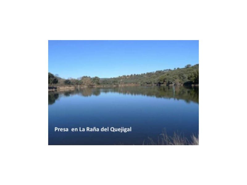 45 bedroom Finca/Country House for sale in Puebla de Don Rodrigo with pool garage - € 36,000,000 (Ref: 8897005)