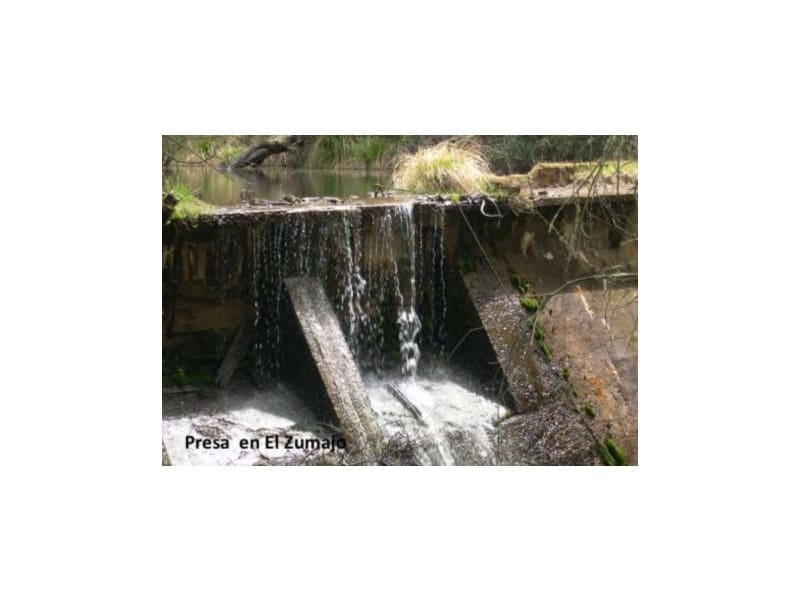 45 bedroom Finca/Country House for sale in Puebla de Don Rodrigo with pool garage - € 36,000,000 (Ref: 8897005)