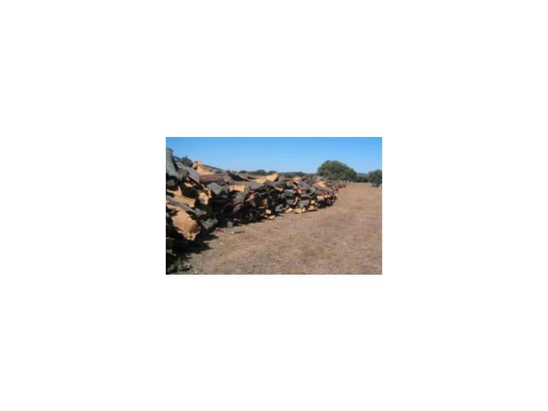 45 bedroom Finca/Country House for sale in Puebla de Don Rodrigo with pool garage - € 36,000,000 (Ref: 8897005)