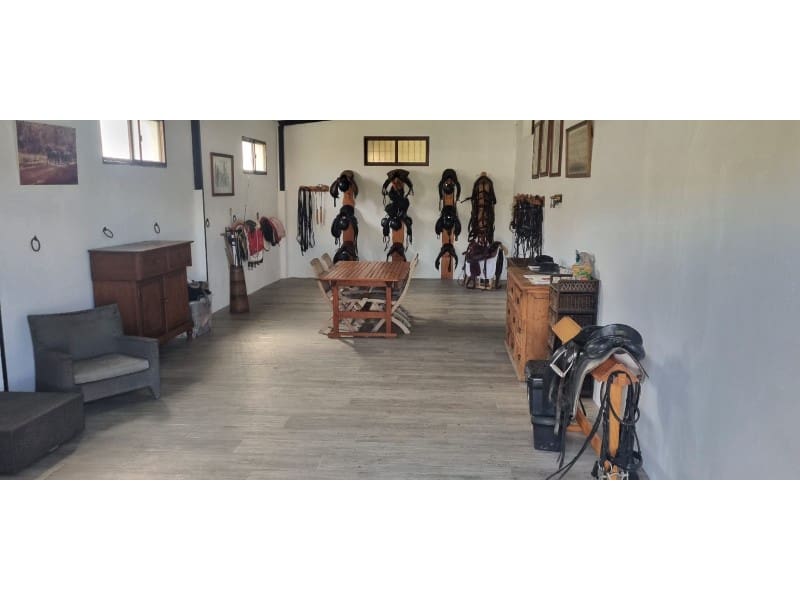 4 soveværelse Finca/Landehus til salg i Jimena de la Frontera - € 2.000.000 (Ref: 8905743)