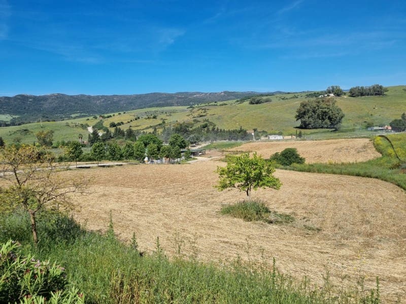 4 soveværelse Finca/Landehus til salg i Jimena de la Frontera - € 2.000.000 (Ref: 8905743)