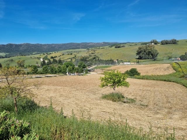 4 Zimmer Finca/Landgut zu verkaufen in Jimena de la Frontera - 2.000.000 € (Ref: 8905743)