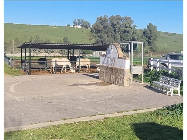 4 Zimmer Finca/Landgut zu verkaufen in Jimena de la Frontera - 2.000.000 € (Ref: 8905743)