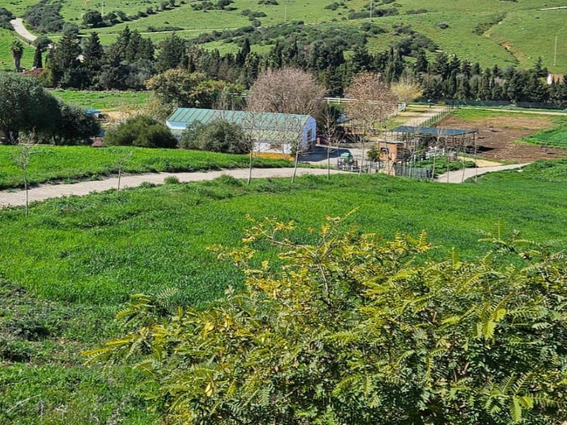 4 soveværelse Finca/Landehus til salg i Jimena de la Frontera - € 2.000.000 (Ref: 8905743)