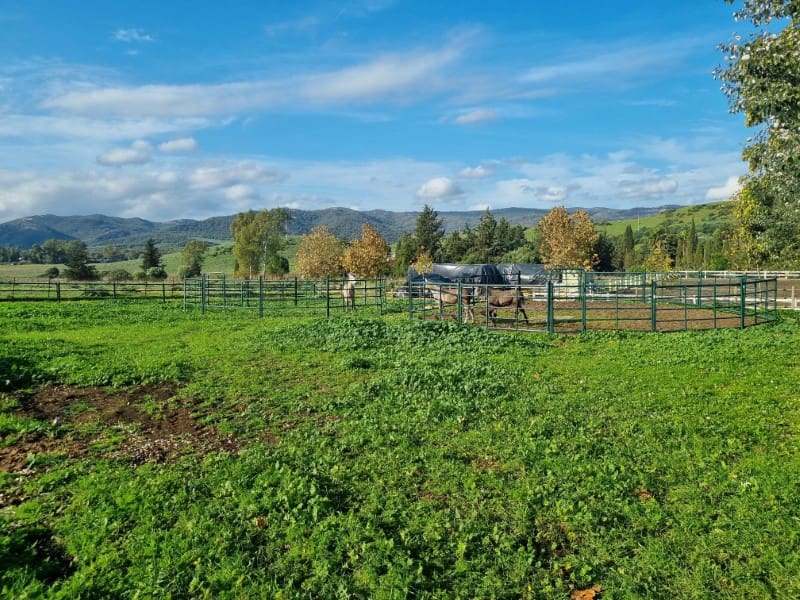 4 soveværelse Finca/Landehus til salg i Jimena de la Frontera - € 2.000.000 (Ref: 8905743)
