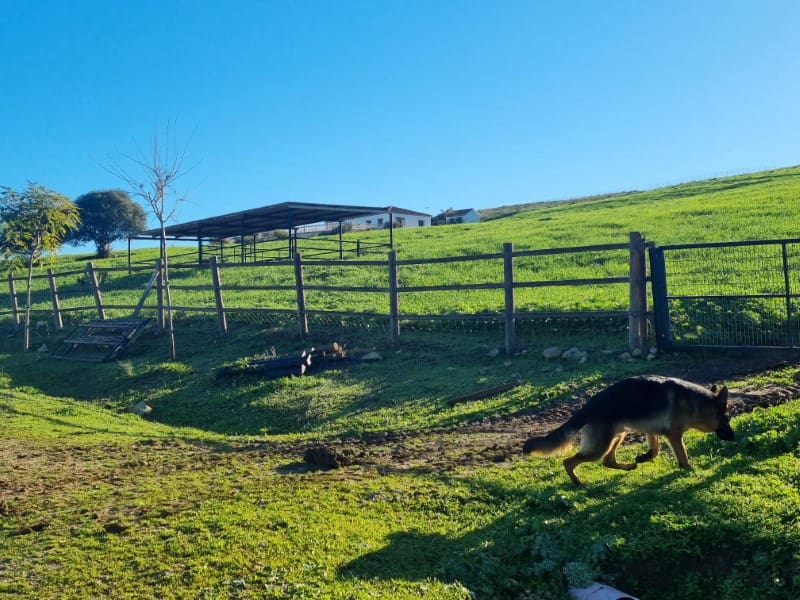 4 soveværelse Finca/Landehus til salg i Jimena de la Frontera - € 2.000.000 (Ref: 8905743)