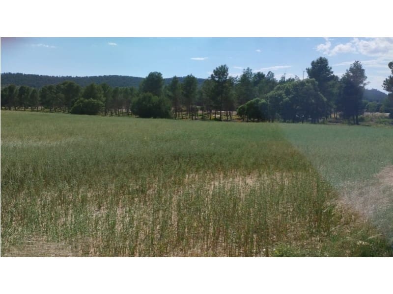 Finca/Herregård til salgs i Almansa - € 1 200 000 (Ref: 9026595)