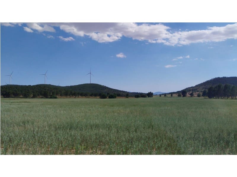 Finca/Herregård til salgs i Almansa - € 1 200 000 (Ref: 9026595)