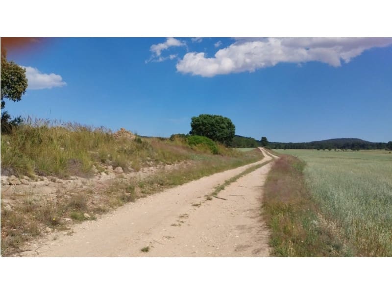 Finca/Herregård til salgs i Almansa - € 1 200 000 (Ref: 9026595)