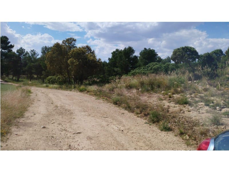 Finca/Herregård til salgs i Almansa - € 1 200 000 (Ref: 9026595)