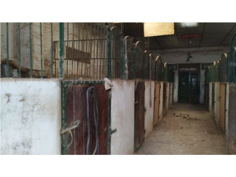 12 Zimmer Finca/Landgut zu verkaufen in Yecla mit Garage - 875.000 € (Ref: 9101054)