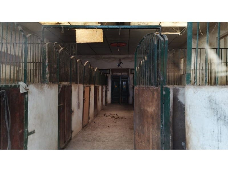 12 Zimmer Finca/Landgut zu verkaufen in Yecla mit Garage - 875.000 € (Ref: 9101054)