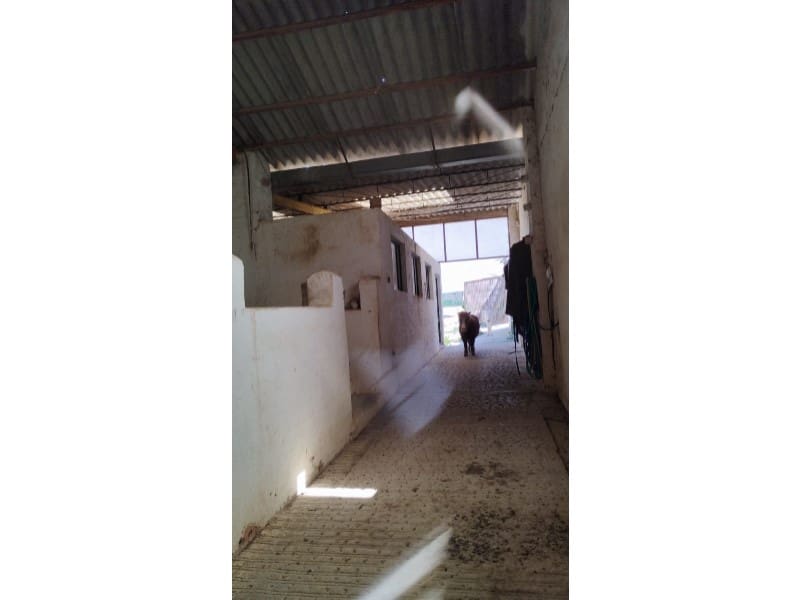 12 Zimmer Finca/Landgut zu verkaufen in Yecla mit Garage - 875.000 € (Ref: 9101054)