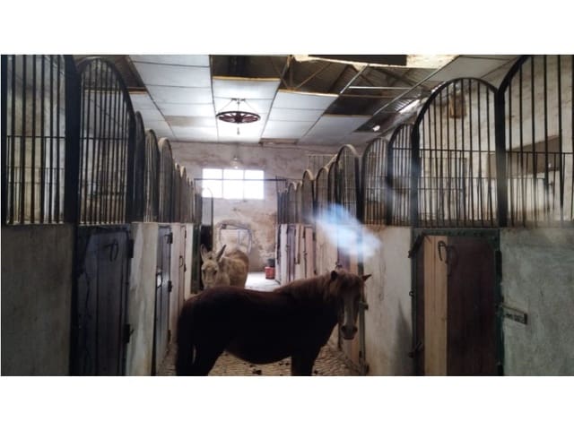 12 Zimmer Finca/Landgut zu verkaufen in Yecla mit Garage - 875.000 € (Ref: 9101054)